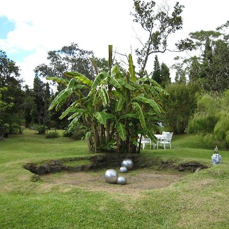 Volcano Artist Cottage Exterior foto