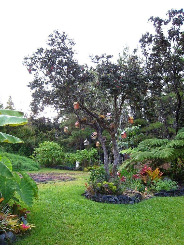 Volcano Artist Cottage Exterior foto