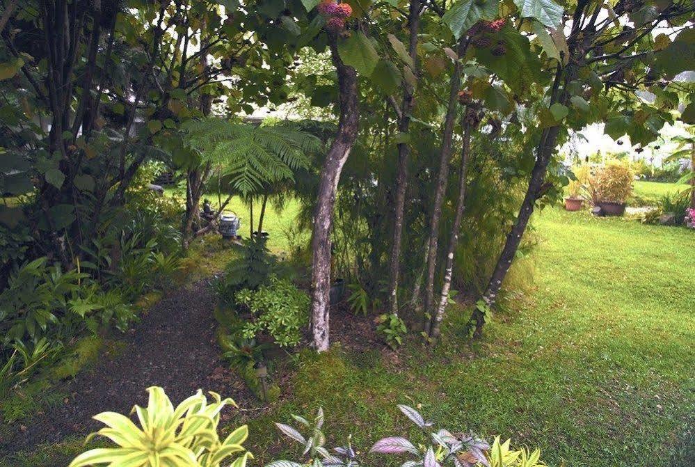 Volcano Artist Cottage Exterior foto